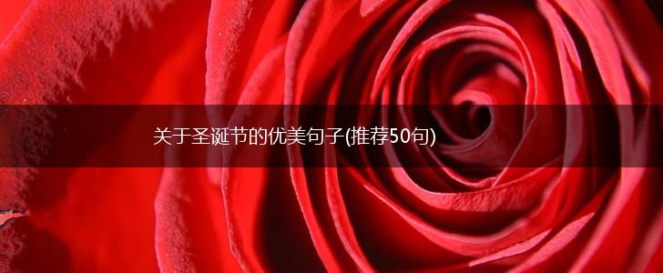 关于圣诞节的优美句子(推荐50句),第1张