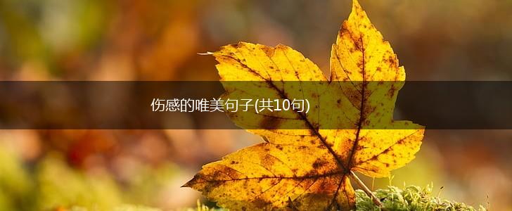 伤感的唯美句子(共10句),第1张