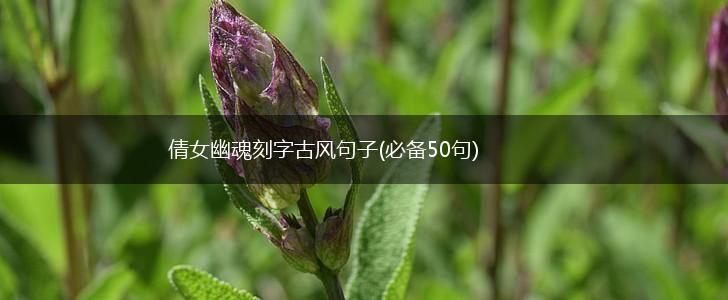 倩女幽魂刻字古风句子(必备50句),第1张