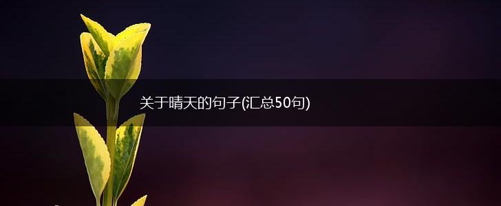 关于晴天的句子(汇总50句),第1张