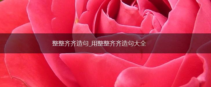 整整齐齐造句_用整整齐齐造句大全,第1张