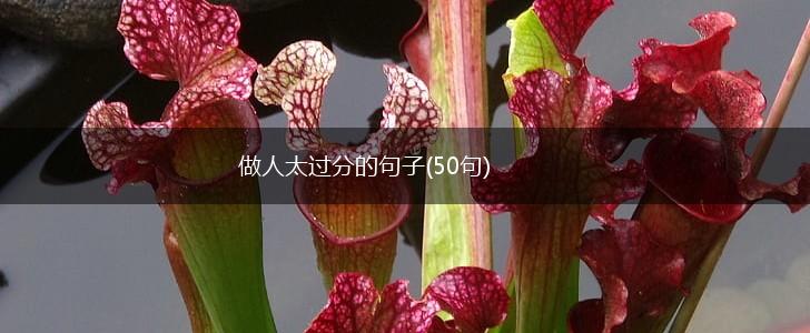 做人太过分的句子(50句),第1张