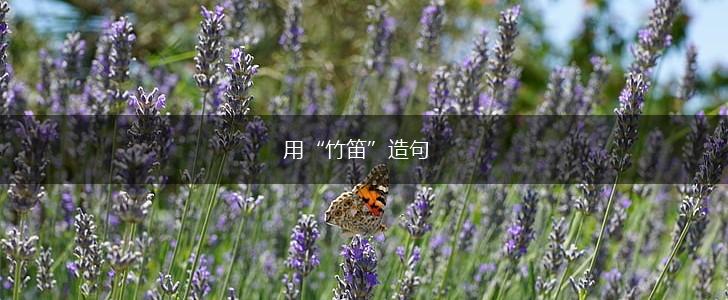 用“竹笛”造句,第1张
