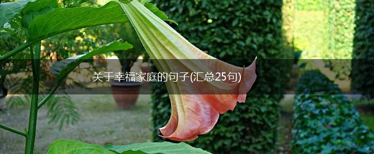 关于幸福家庭的句子(汇总25句),第1张