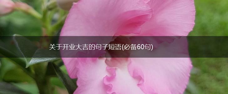 关于开业大吉的句子短语(必备60句),第1张