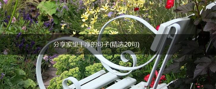 分享家里干净的句子(精选20句),第1张