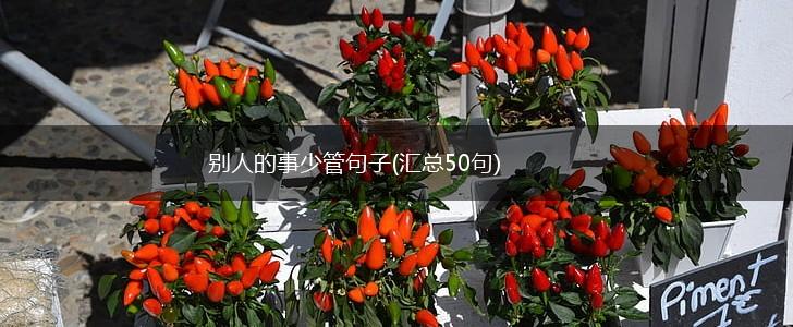 别人的事少管句子(汇总50句),第1张