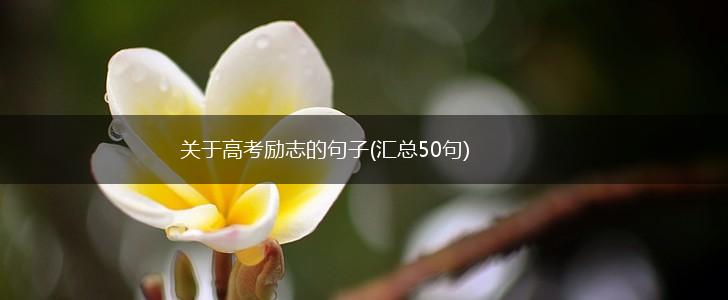 关于高考励志的句子(汇总50句),第1张