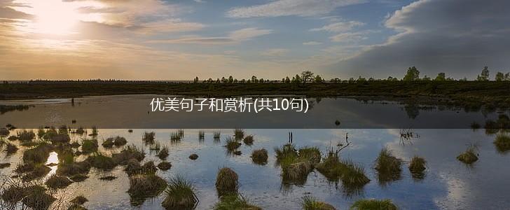 优美句子和赏析(共10句),第1张