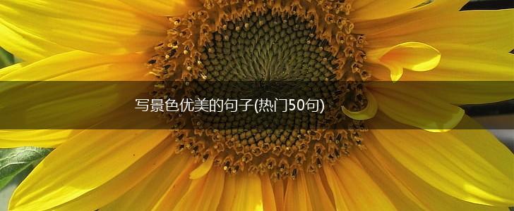 写景色优美的句子(热门50句),第1张