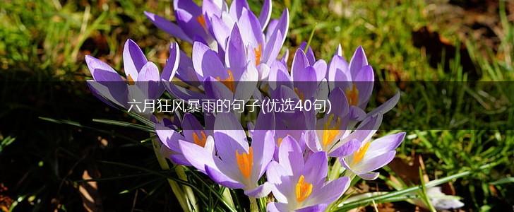 六月狂风暴雨的句子(优选40句),第1张