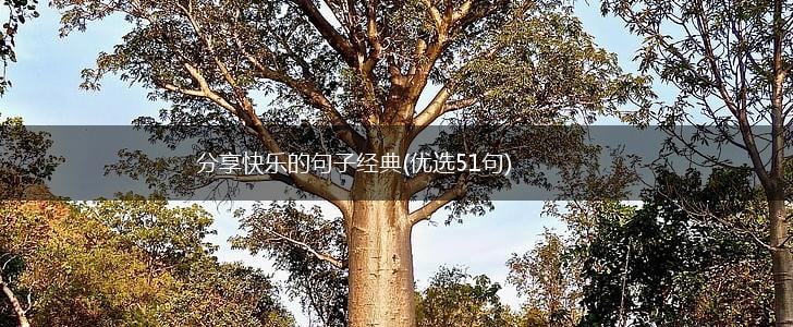 分享快乐的句子经典(优选51句),第1张