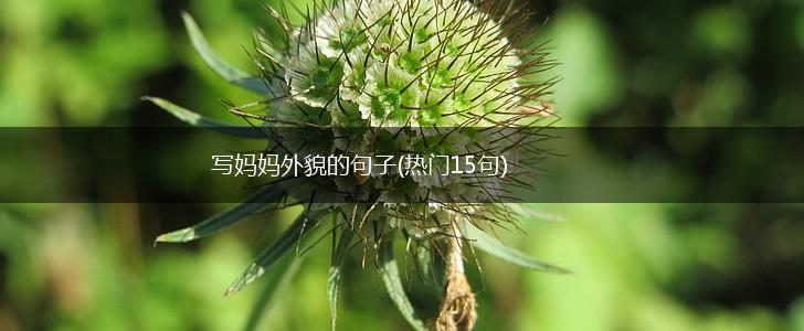 写妈妈外貌的句子(热门15句),第1张