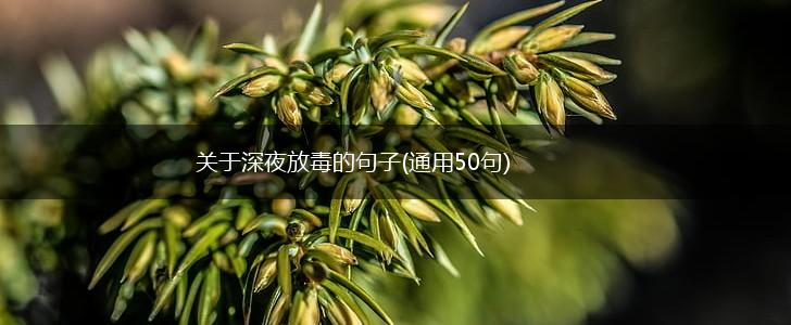 关于深夜放毒的句子(通用50句),第1张