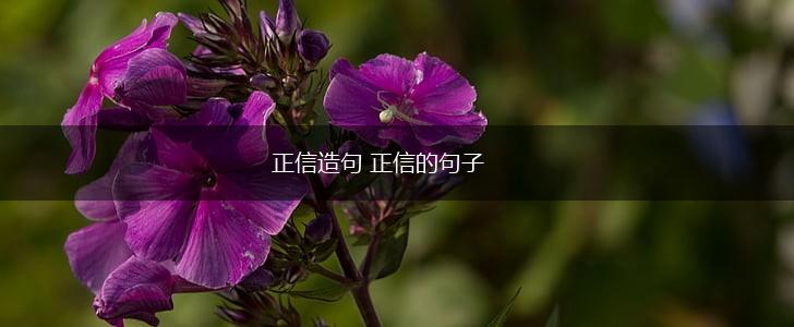 正信造句 正信的句子,第1张