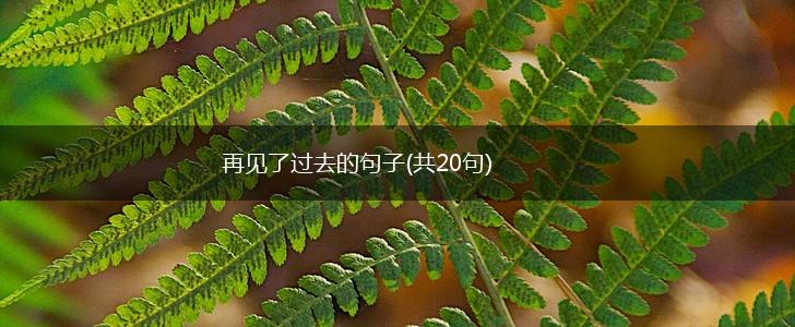 再见了过去的句子(共20句),第1张
