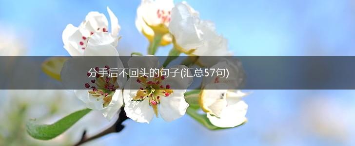 分手后不回头的句子(汇总57句),第1张