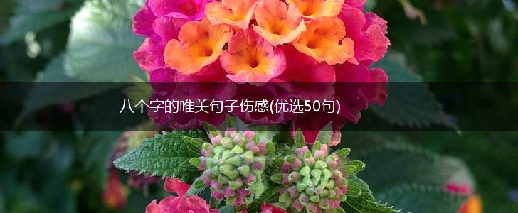 八个字的唯美句子伤感(优选50句),第1张