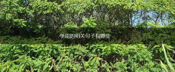 争能的相关句子有哪些,第1张