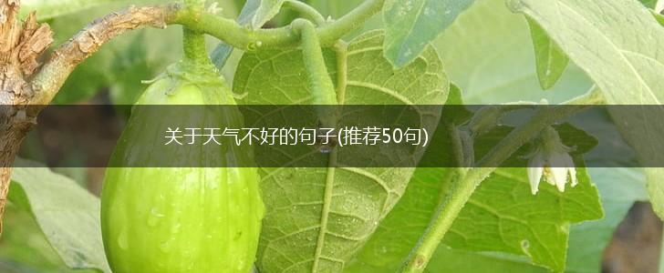 关于天气不好的句子(推荐50句),第1张