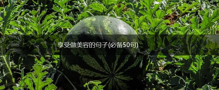 享受做美容的句子(必备50句),第1张
