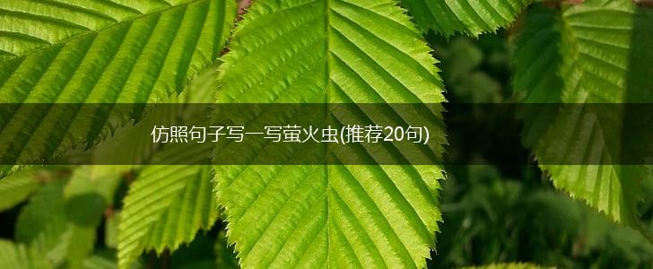 仿照句子写一写萤火虫(推荐20句),第1张