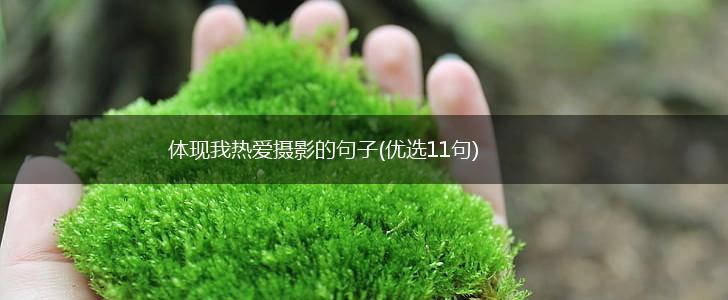 体现我热爱摄影的句子(优选11句),第1张