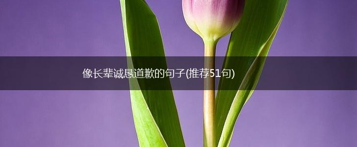像长辈诚恳道歉的句子(推荐51句),第1张