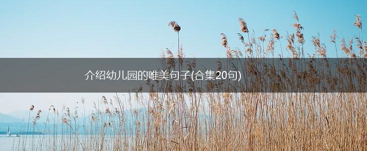 介绍幼儿园的唯美句子(合集20句),第1张