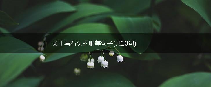 关于写石头的唯美句子(共10句),第1张