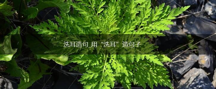 洗耳造句_用“洗耳”造句子,第1张