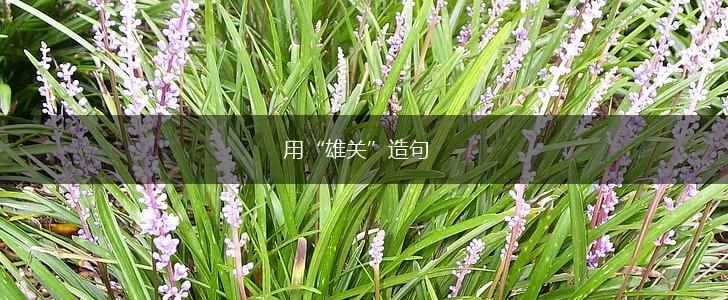 用“雄关”造句,第1张