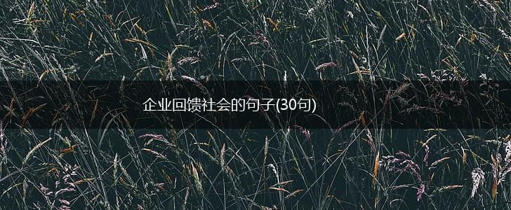 企业回馈社会的句子(30句),第1张