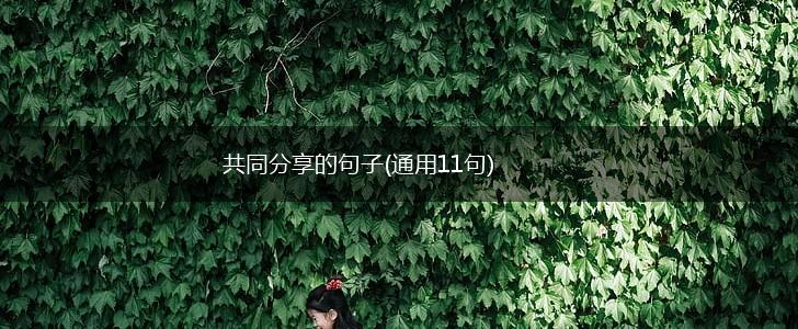 共同分享的句子(通用11句),第1张