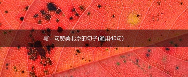 写一句赞美北京的句子(通用40句),第1张