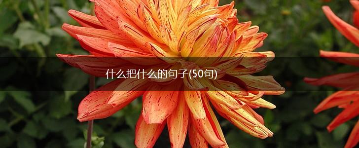 什么把什么的句子(50句),第1张