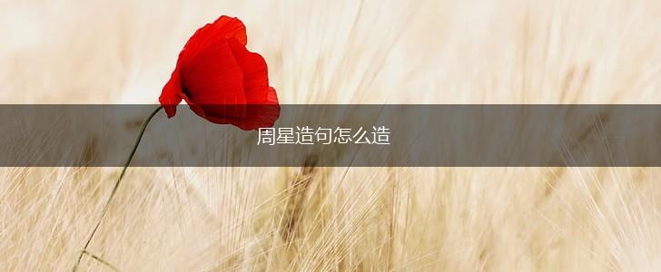 周星造句怎么造,第1张