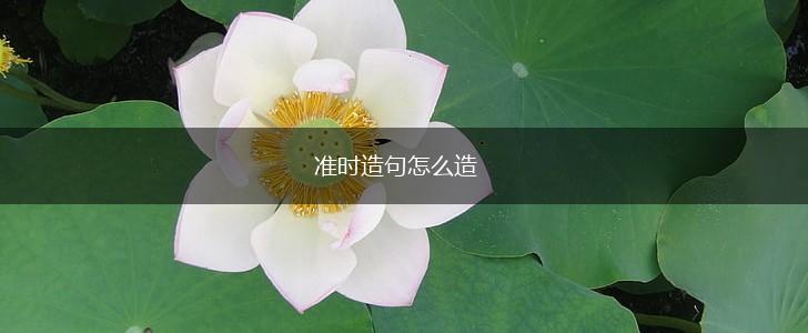 准时造句怎么造,第1张