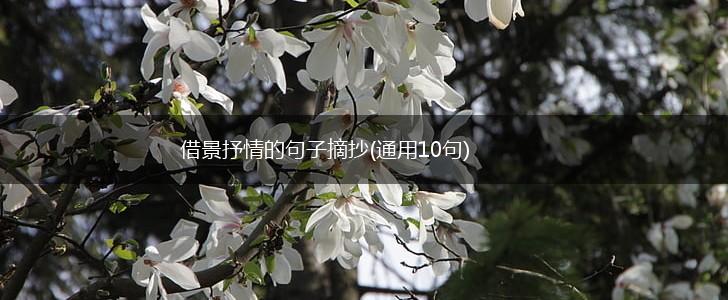 借景抒情的句子摘抄(通用10句),第1张