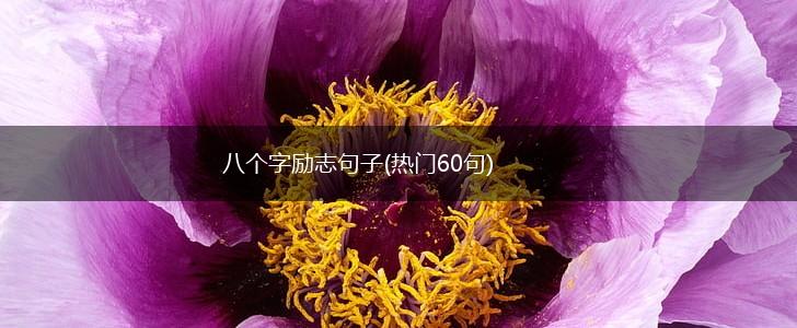 八个字励志句子(热门60句),第1张