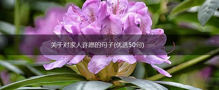 关于对家人许愿的句子(优选50句),第1张