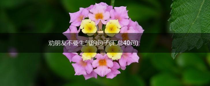 劝朋友不要生气的句子(汇总40句),第1张