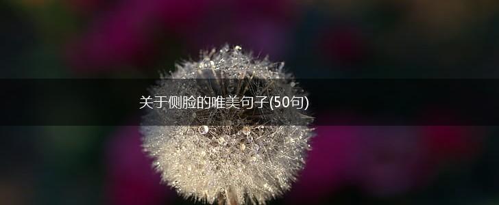 关于侧脸的唯美句子(50句),第1张