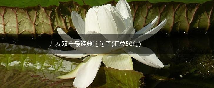 儿女双全最经典的句子(汇总50句),第1张
