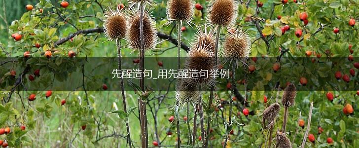 先醒造句_用先醒造句举例,第1张