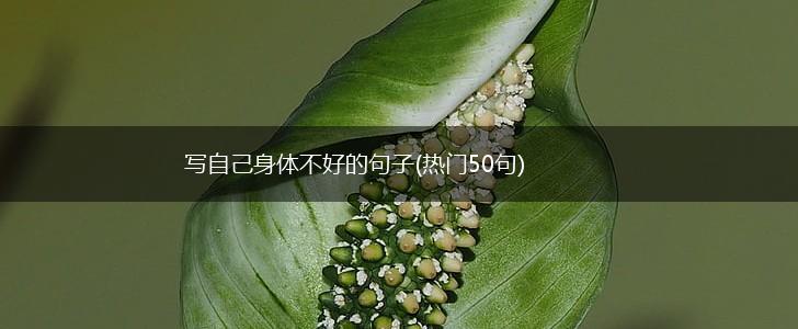 写自己身体不好的句子(热门50句),第1张
