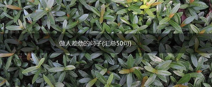 做人差劲的句子(汇总50句),第1张