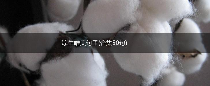 凉生唯美句子(合集50句),第1张