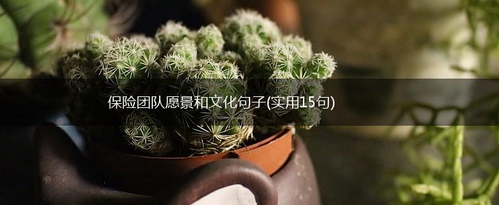 保险团队愿景和文化句子(实用15句),第1张