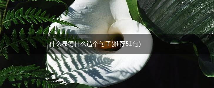 什么显得什么造个句子(推荐51句),第1张